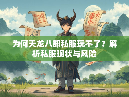 为何天龙八部私服玩不了？解析私服现状与风险  第2张