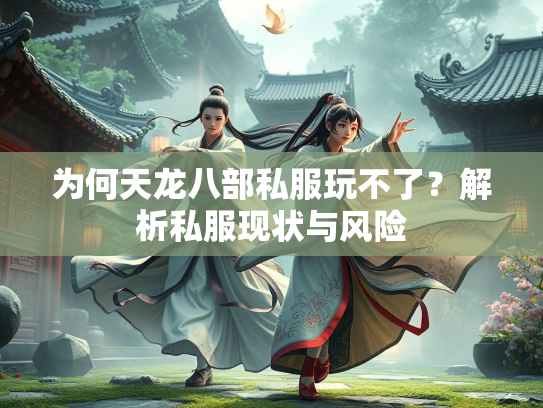 为何天龙八部私服玩不了？解析私服现状与风险  第3张
