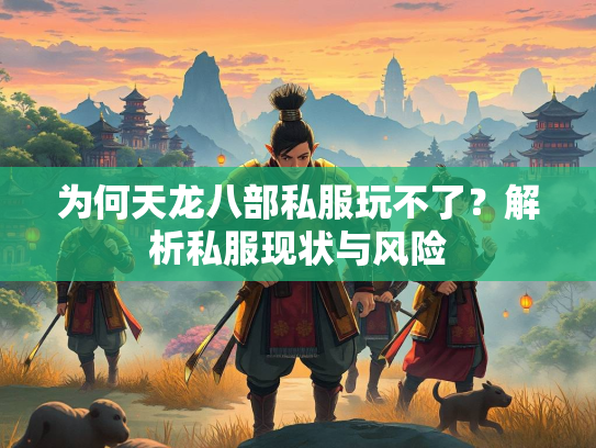 为何天龙八部私服玩不了？解析私服现状与风险  第1张