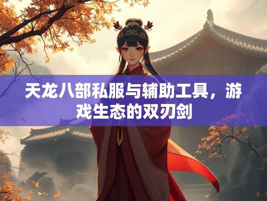 天龙八部私服与辅助工具，游戏生态的双刃剑  第2张