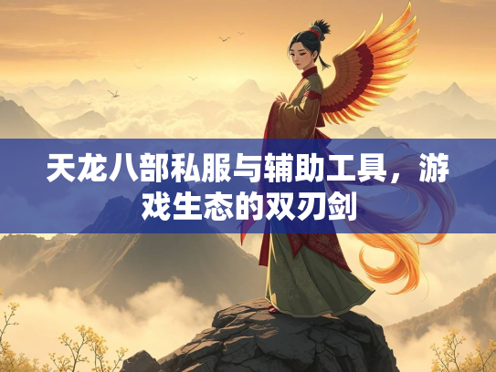 天龙八部私服与辅助工具，游戏生态的双刃剑  第3张