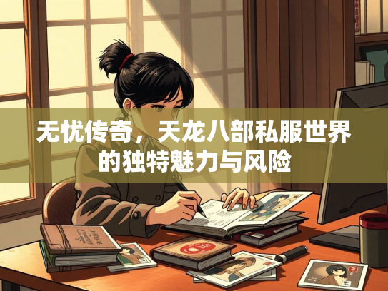 无忧传奇，天龙八部私服世界的独特魅力与风险  第2张