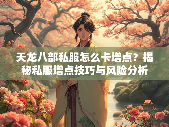 天龙八部私服怎么卡增点？揭秘私服增点技巧与风险分析  第2张