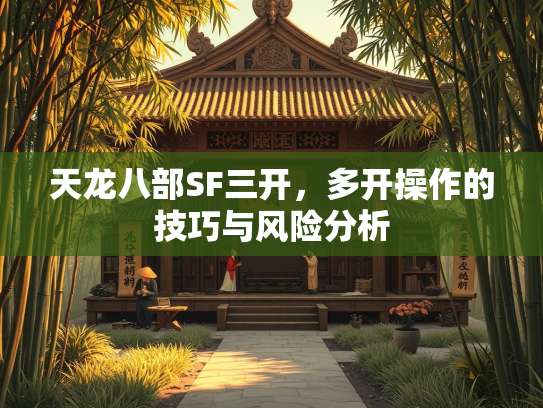天龙八部SF三开，多开操作的技巧与风险分析  第2张