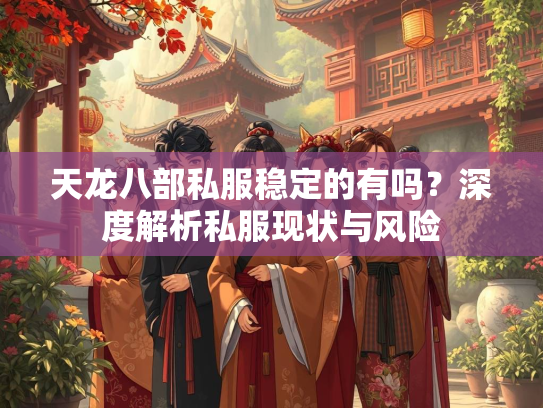 天龙八部私服稳定的有吗？深度解析私服现状与风险  第2张