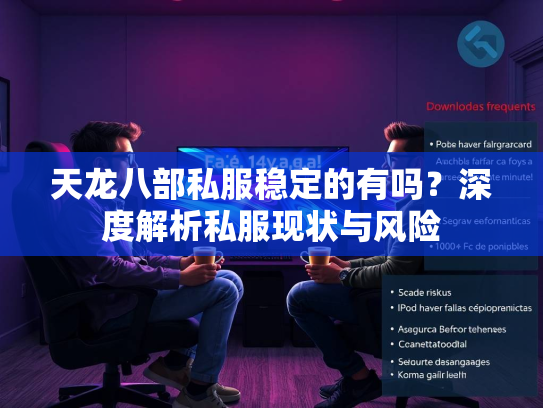 天龙八部私服稳定的有吗？深度解析私服现状与风险  第1张