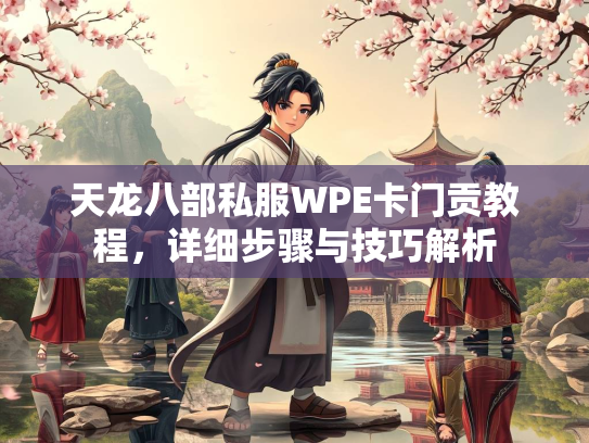 天龙八部私服WPE卡门贡教程，详细步骤与技巧解析  第3张