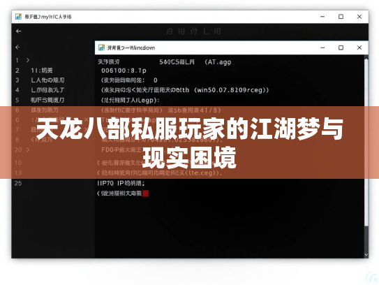 天龙八部私服玩家的江湖梦与现实困境  第1张