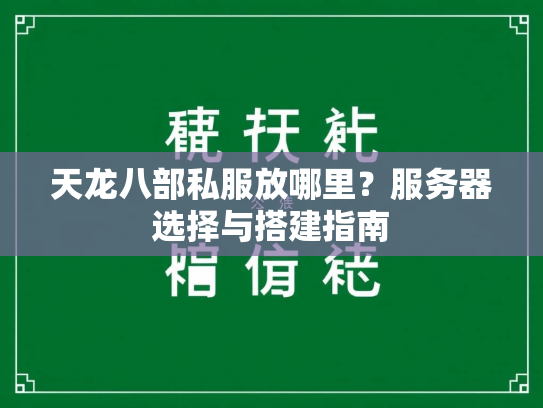 天龙八部私服放哪里？服务器选择与搭建指南  第2张