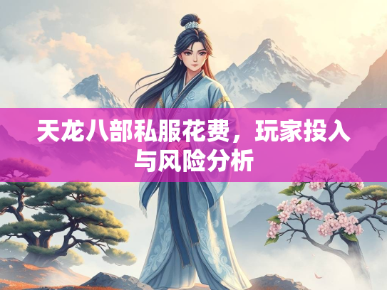天龙八部私服花费，玩家投入与风险分析  第2张