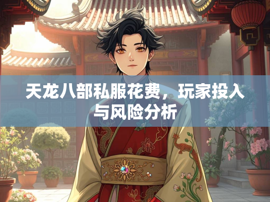 天龙八部私服花费，玩家投入与风险分析  第3张