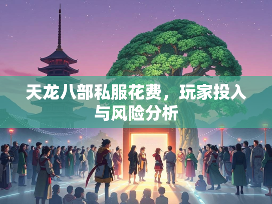 天龙八部私服花费，玩家投入与风险分析  第1张