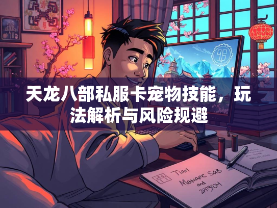 天龙八部私服卡宠物技能，玩法解析与风险规避  第3张