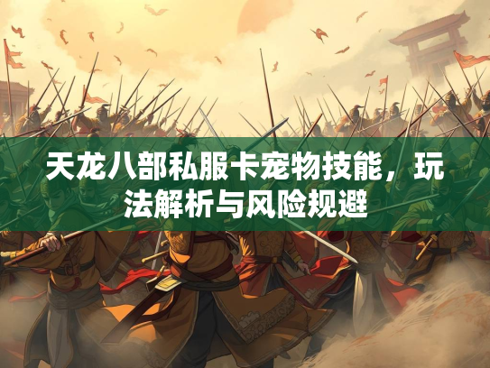 天龙八部私服卡宠物技能，玩法解析与风险规避  第1张