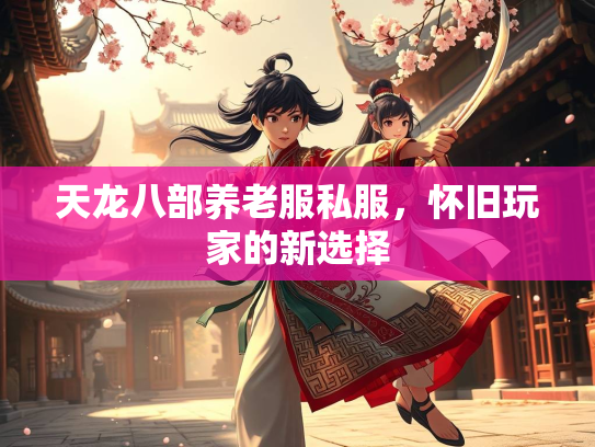 天龙八部养老服私服，怀旧玩家的新选择  第1张