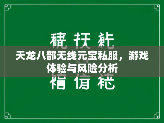 天龙八部无线元宝私服，游戏体验与风险分析  第2张