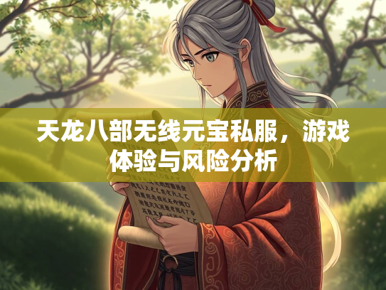 天龙八部无线元宝私服，游戏体验与风险分析  第1张