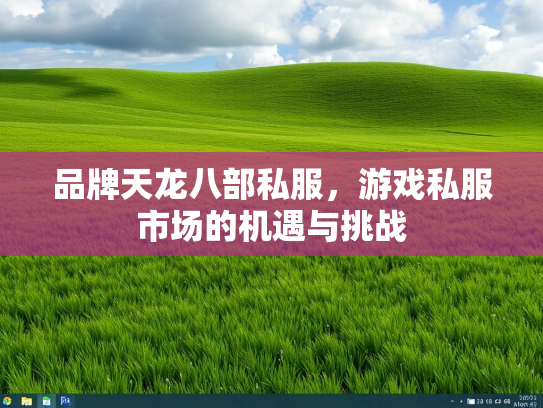 品牌天龙八部私服，游戏私服市场的机遇与挑战  第1张