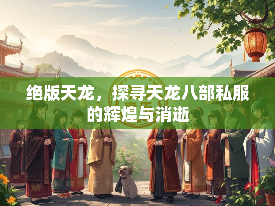 绝版天龙，探寻天龙八部私服的辉煌与消逝  第2张