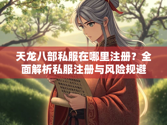 天龙八部私服在哪里注册？全面解析私服注册与风险规避  第3张