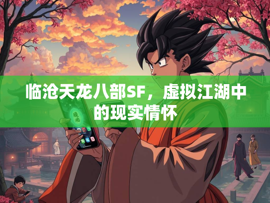 临沧天龙八部SF，虚拟江湖中的现实情怀  第2张