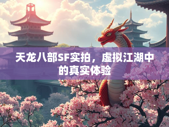 天龙八部SF实拍，虚拟江湖中的真实体验  第2张