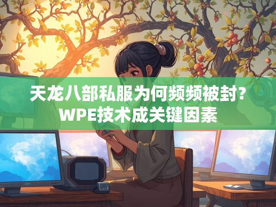 天龙八部私服为何频频被封？WPE技术成关键因素  第1张