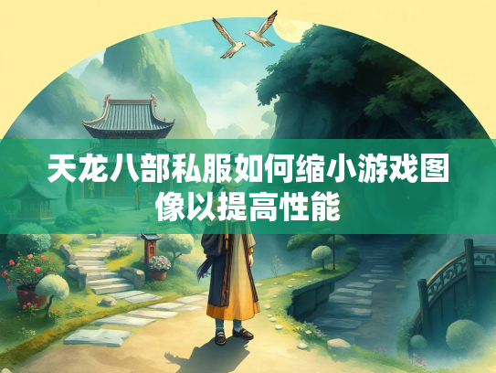 天龙八部私服如何缩小游戏图像以提高性能  第2张