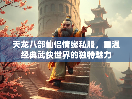 天龙八部仙侣情缘私服，重温经典武侠世界的独特魅力  第2张