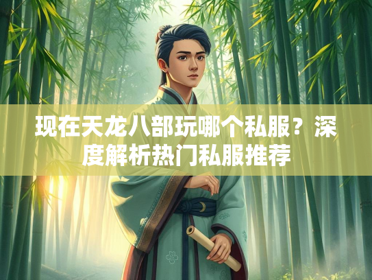 现在天龙八部玩哪个私服？深度解析热门私服推荐  第2张