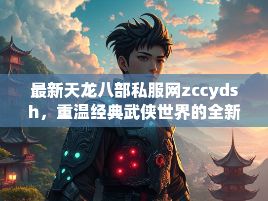 最新天龙八部私服网zccydsh，重温经典武侠世界的全新选择  第2张