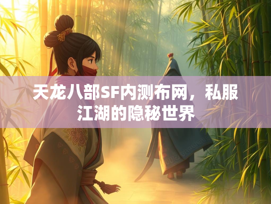 天龙八部SF内测布网，私服江湖的隐秘世界  第1张