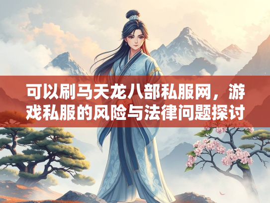 可以刷马天龙八部私服网，游戏私服的风险与法律问题探讨  第1张