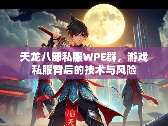 天龙八部私服WPE群，游戏私服背后的技术与风险  第2张