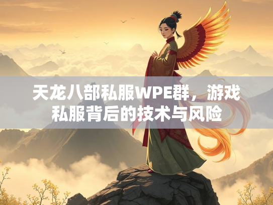 天龙八部私服WPE群，游戏私服背后的技术与风险  第3张