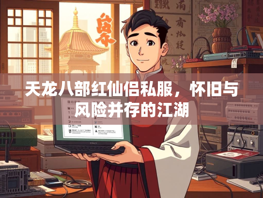 天龙八部红仙侣私服，怀旧与风险并存的江湖  第2张