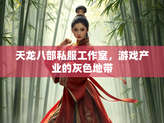 天龙八部私服工作室，游戏产业的灰色地带  第3张