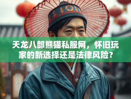 天龙八部熊猫私服网，怀旧玩家的新选择还是法律风险？  第2张