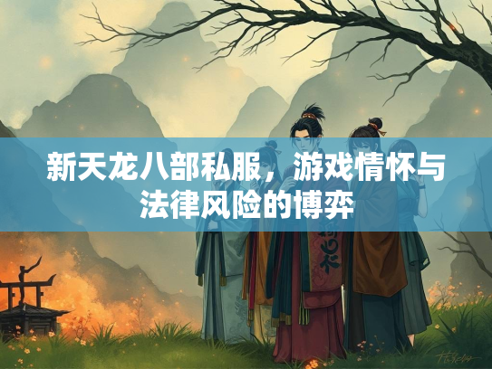 新天龙八部私服，游戏情怀与法律风险的博弈  第2张