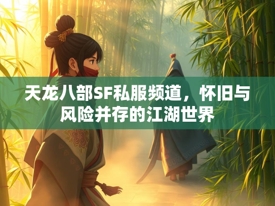 天龙八部SF私服频道，怀旧与风险并存的江湖世界  第1张