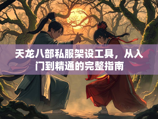 天龙八部私服架设工具，从入门到精通的完整指南  第3张