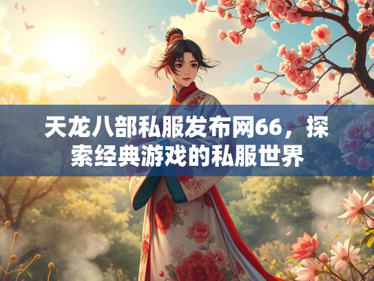 天龙八部私服发布网66，探索经典游戏的私服世界  第1张