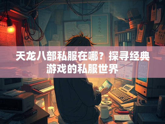 天龙八部私服在哪？探寻经典游戏的私服世界  第2张