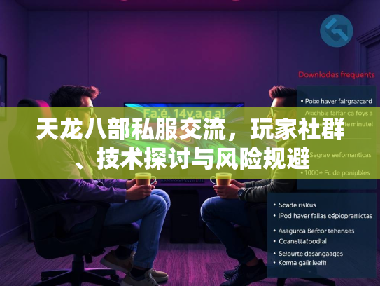 天龙八部私服交流，玩家社群、技术探讨与风险规避  第2张