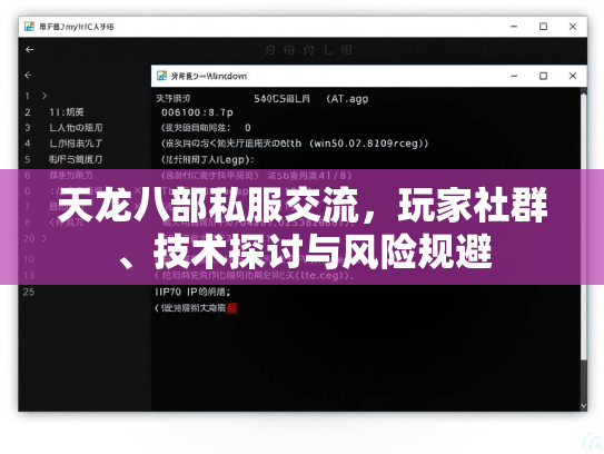 天龙八部私服交流，玩家社群、技术探讨与风险规避  第1张