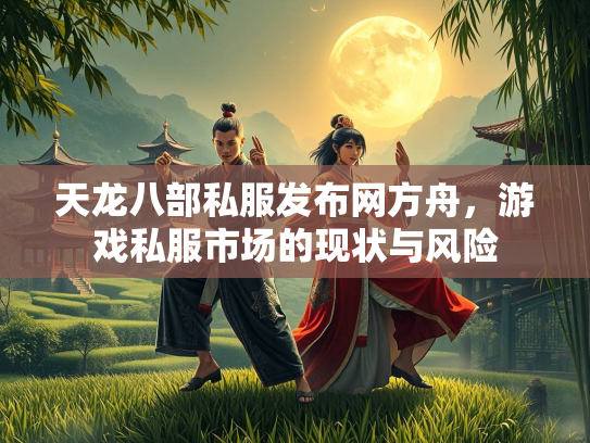 天龙八部私服发布网方舟，游戏私服市场的现状与风险  第3张
