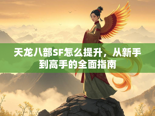 天龙八部SF怎么提升，从新手到高手的全面指南  第2张