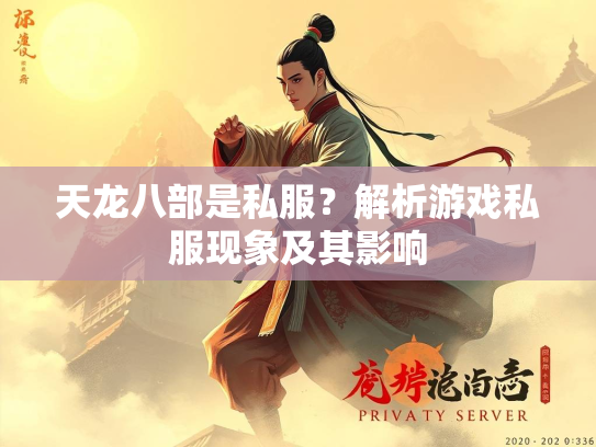 天龙八部是私服？解析游戏私服现象及其影响  第1张