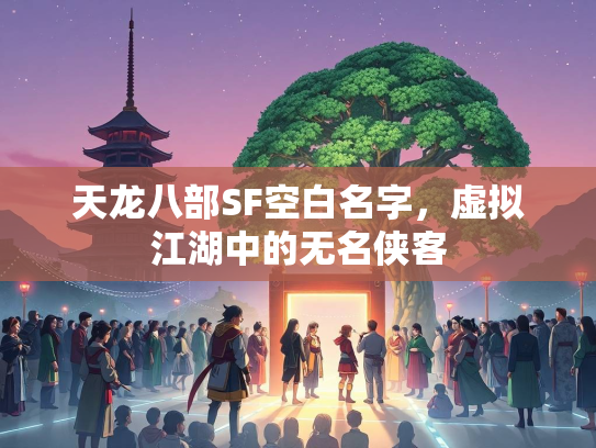 天龙八部SF空白名字，虚拟江湖中的无名侠客  第1张