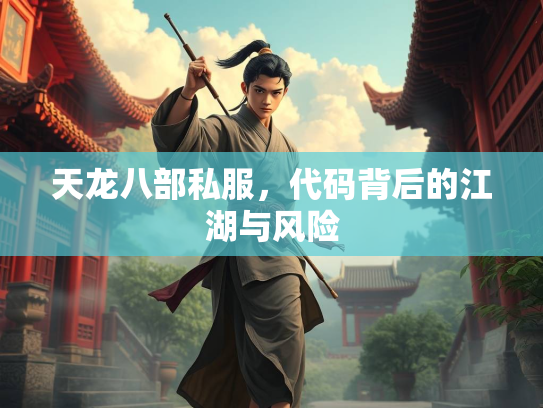 天龙八部私服，代码背后的江湖与风险  第2张
